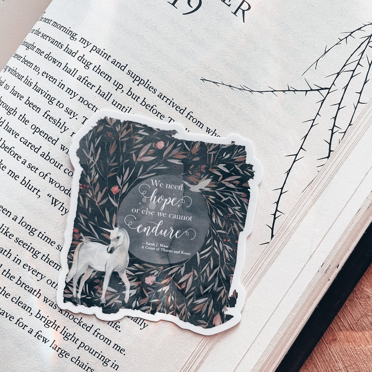 ACOTAR Vinyl Sticker, We Need Hope or Else We Cannot Endure, Feyre