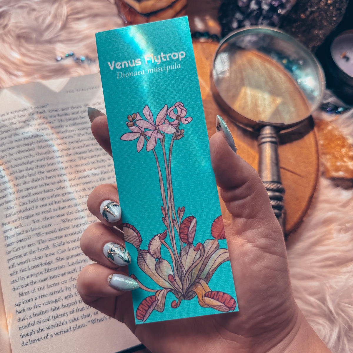 Venus Flytrap Handmade Bookmark, Carnivorous Plant Watercolor Gift for Reader, Exotic Plant Parent Set of Bookmarks