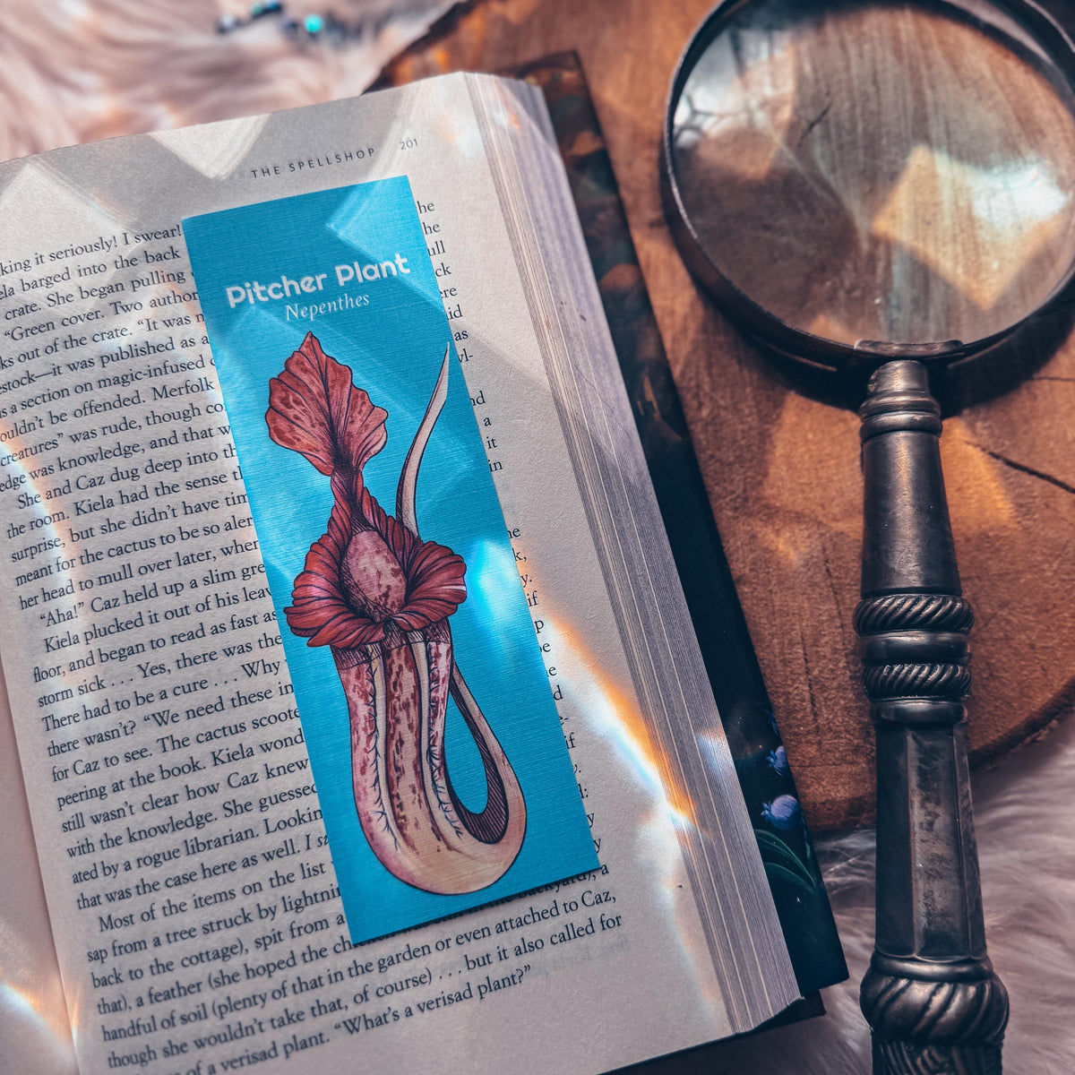 Carnivorous Plants Printable Bookmark Set, Instant Download Print at Home Bookmarks, Venus Flytrap Scientific Name Illustration