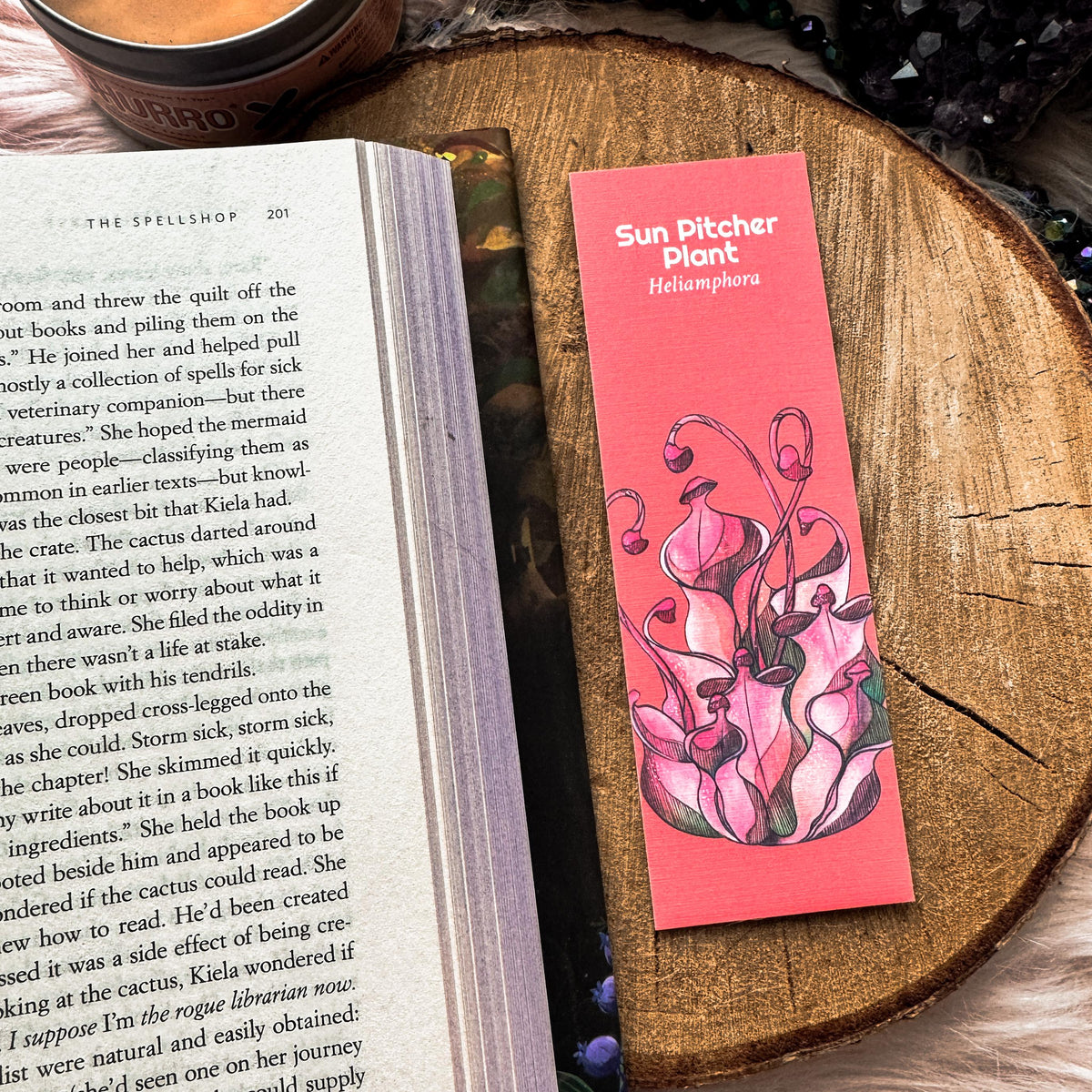 Carnivorous Plants Printable Bookmark Set, Instant Download Print at Home Bookmarks, Venus Flytrap Scientific Name Illustration