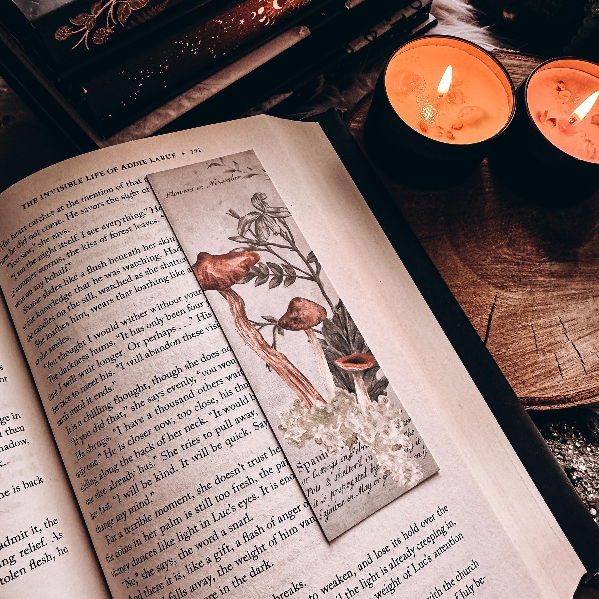 Watercolor Mushroomcore Bookmark, Handmade Dark Cottagecore Botanical Mushroom Gift for Reader, Gothic Witchy Herbalist Gift