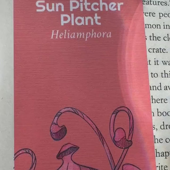 Sun Pitcher Handmade Bookmark, Carnivorous Plant Watercolor Gift for Reader, Exotic Plant Parent Set of Bookmarks