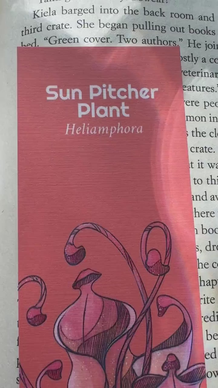 Sun Pitcher Handmade Bookmark, Carnivorous Plant Watercolor Gift for Reader, Exotic Plant Parent Set of Bookmarks